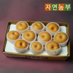 자연농부 달콤시원 나주배 선물세트 3호 5kg(9-10과)(W410182)