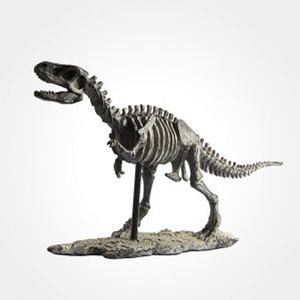 [아트피플-A80/A45/A44]공룡 뼈 조각상(티라노/스티라노/딜로포사우르스)(GTL19360)