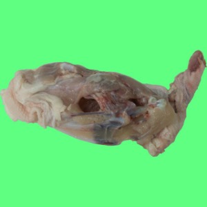 닭잔골15kg 포장 닭육수용(W9E7251)